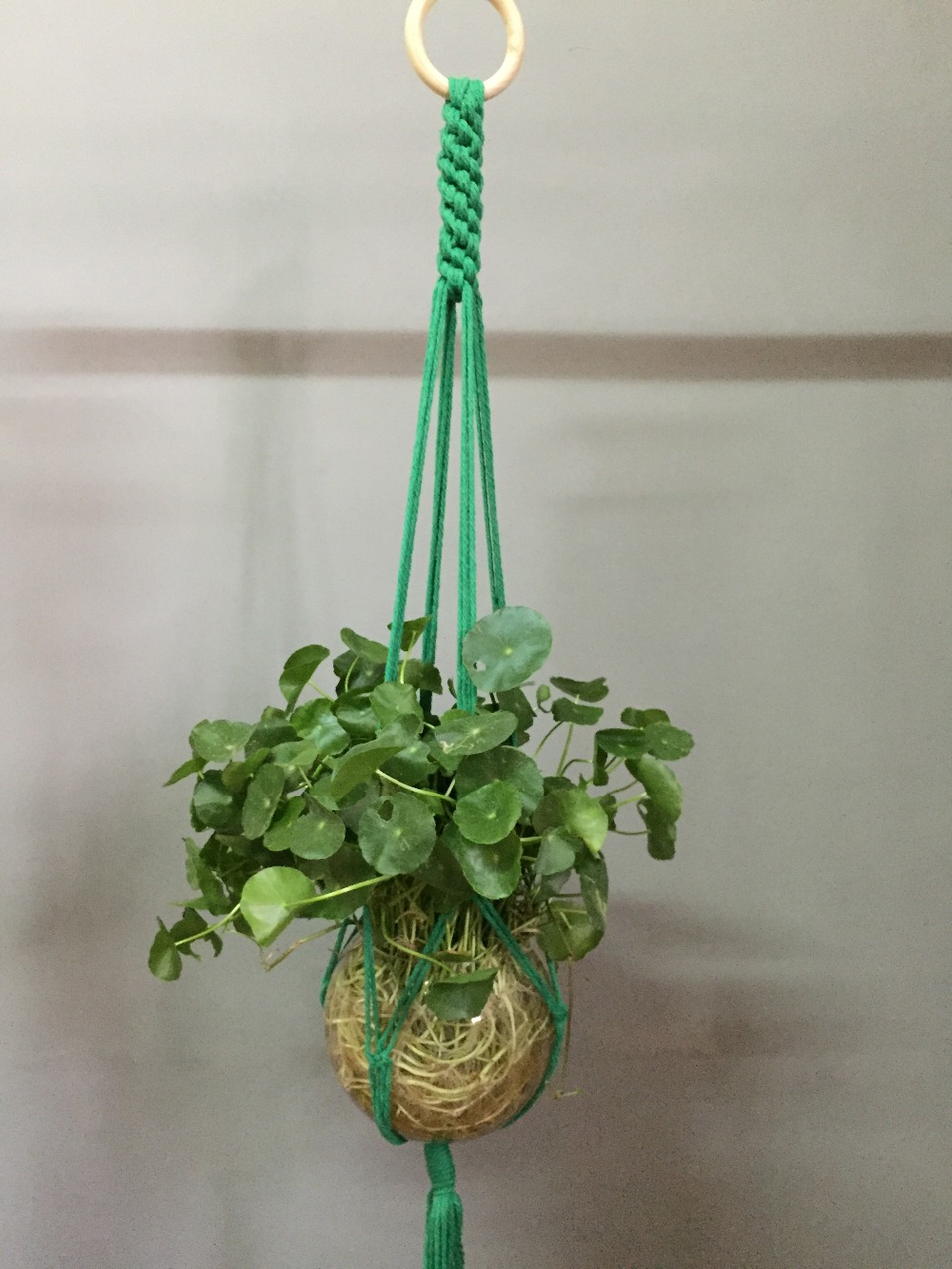 Aankomst Hanmade Kleurrijke Macrame Plant Hanger Opknoping Pot Beige Groen Rood Khaki Donker: green