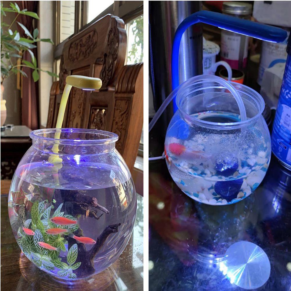 Leuke Transparante Ronde Vissenkom Bal-Vormige Anti-Fall Onbreekbaar Aquarium Voor Bruiloften Woonkamer Desktop Woondecoratie