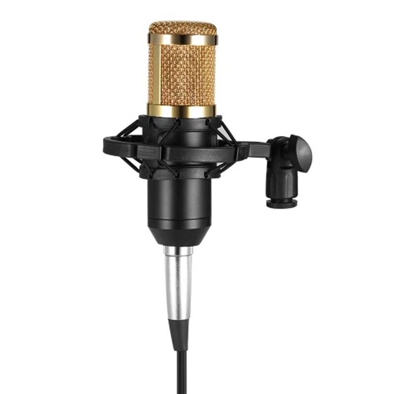 BM-700 Condenser Microphone for Studio Recording main image 1