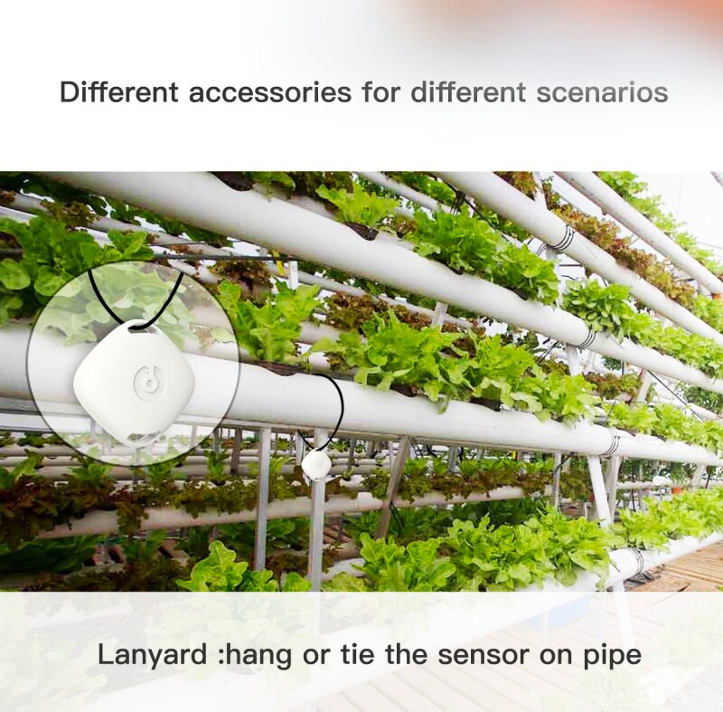 Bluetooth 5.0 Thermometer Hygrometer Sensor Data Logger Digital C/F Indoor Outdoor Temperature Humidity Meter Alarm IOS/Android