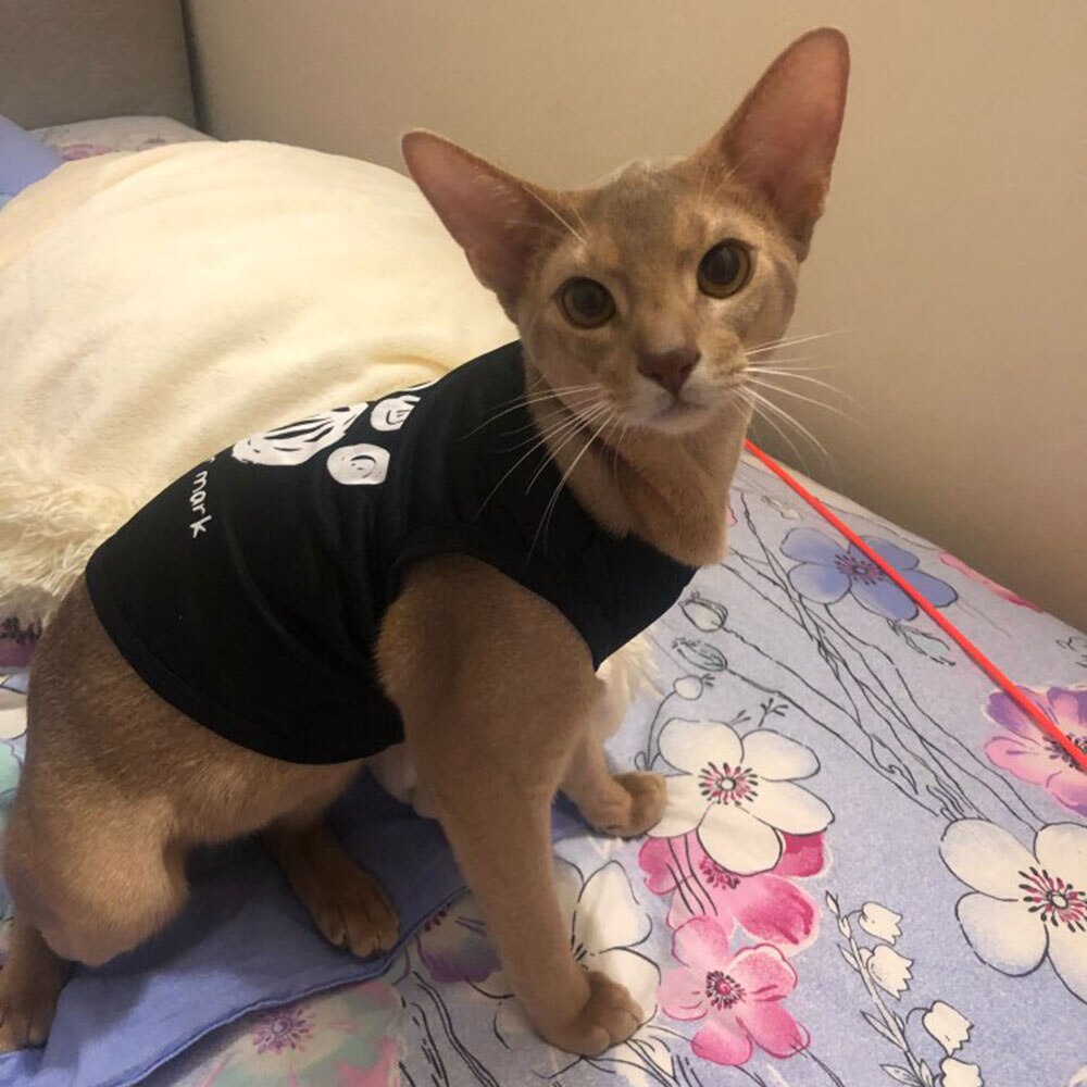 Kleine Hond Kleding Huisdier Kat Vest Cute Kitten Kat Kostuum Puppy Gedrukt Zwarte T-shirt Zomer Dunne Vest Huisdieren Kleding ropa Perro