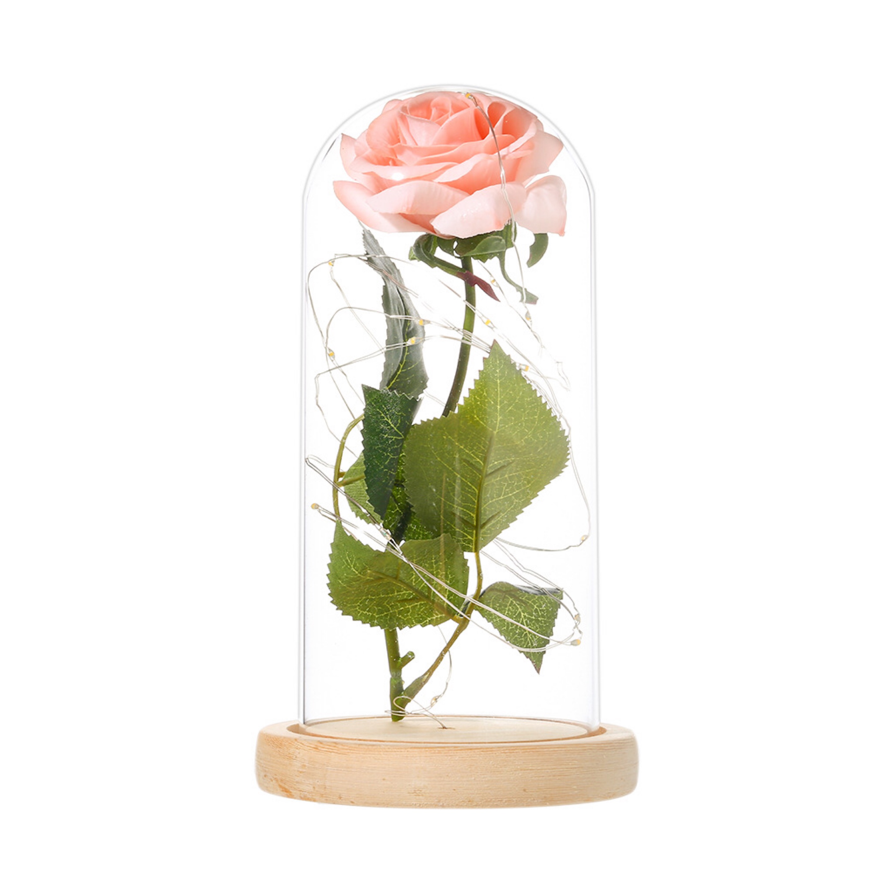 directe Galaxy Rose clignotant fleurs en flacon verre dôme pour saint valentin anniversaire décoration de mariage: Champagne