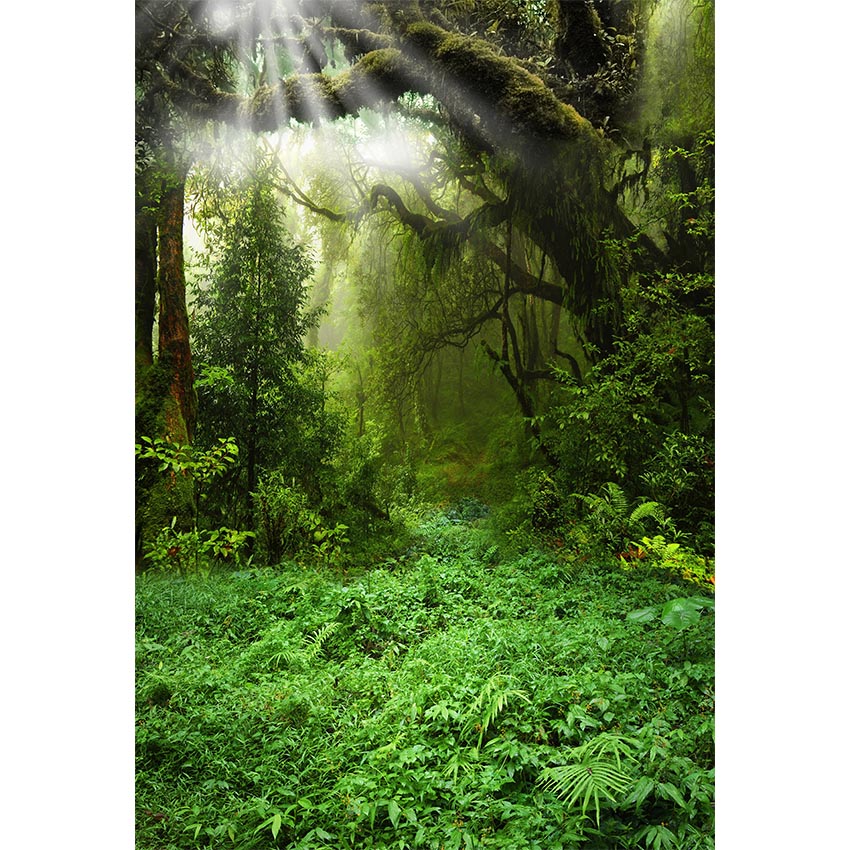 MEHOFOTO achtergrond voor foto studio sprookjesbos maan jungle groen gras boom achtergrond photocall photo prop professionele: Vinyl-1.8x3m / Sky Blue