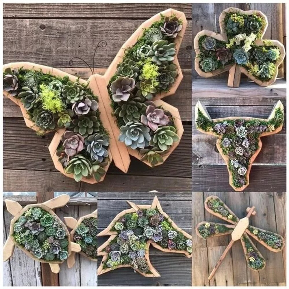 Pot de fleurs en bois pour animaux, plantation de plantes de jardin, Micro Pot de paysage, décoration ,