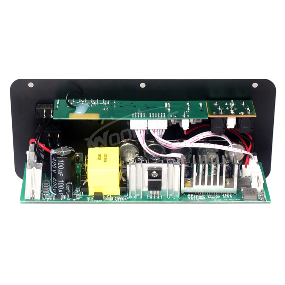 Woopker-placa amplificadora Bluetooth D100W, amplificador Digital Max 300W, 220V/12V/24V, compatible con micrófono Dual, reproductor MP3