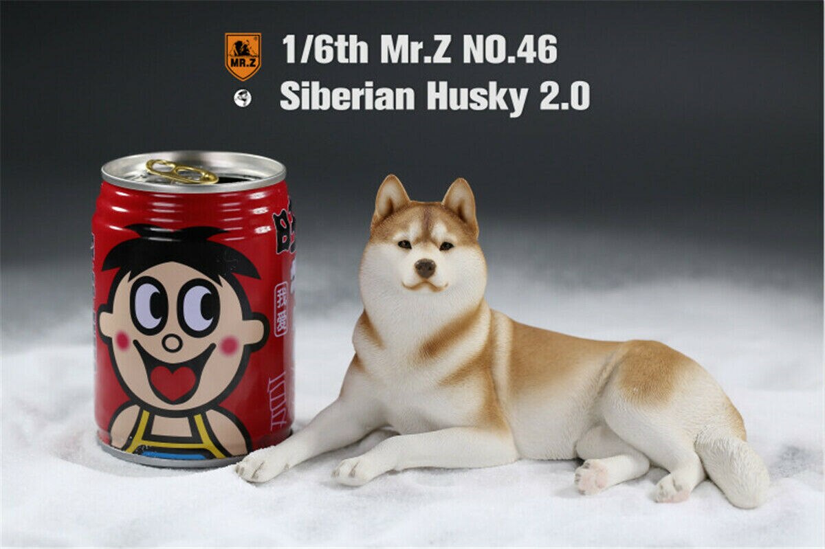 Mr.Z&amp;Xmmos 1:6 Scale Siberian Husky 2.0 Dog Pet Healing Figure Huskie Animal Model Toy Collector Decoration Kid