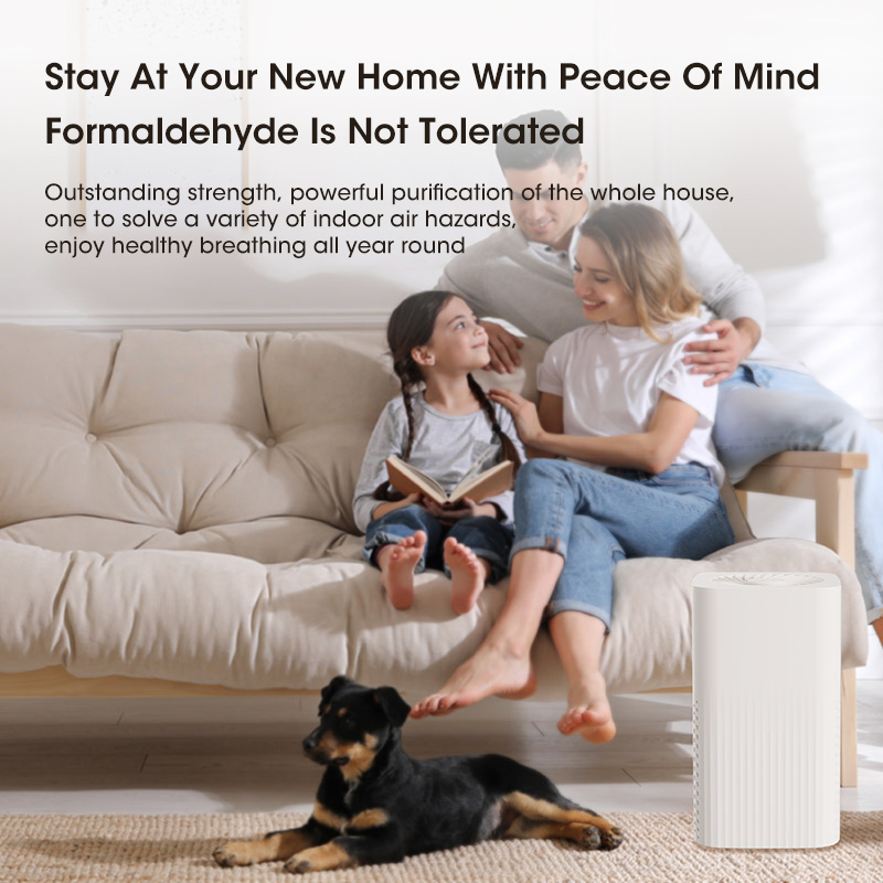 Portable Desktop Air Purifier With HEPA Filter Mini Air Purifier Household Air Cleaner Odor Remover Air Freshener For Home