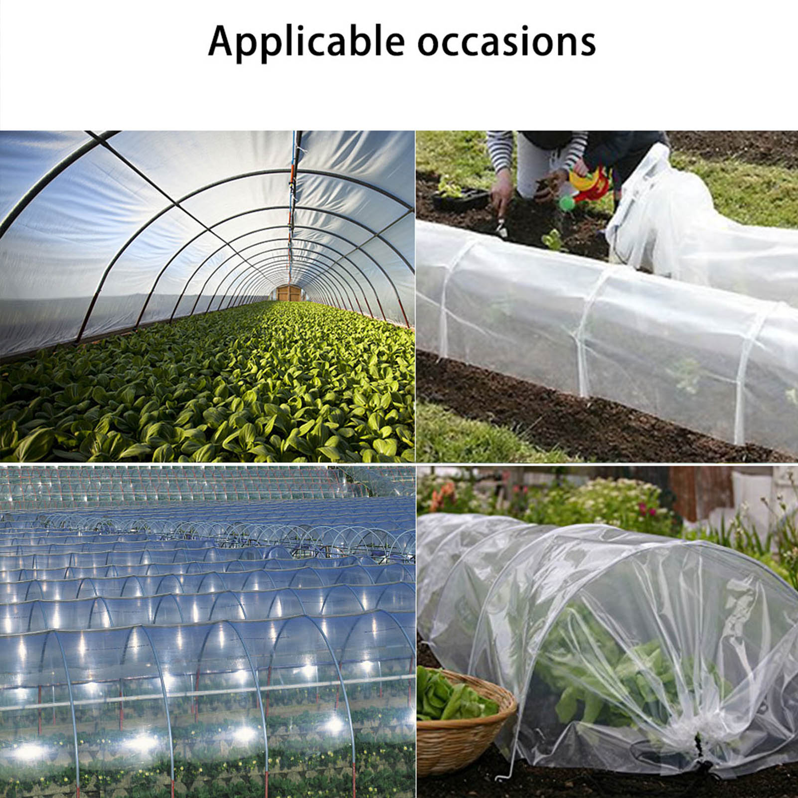 Garden Greenhouse With Frame Tunnel Greenhouse Transparent 5m Arched Greenhouse Rain/cold/frost-proof Plant Insulation Shed