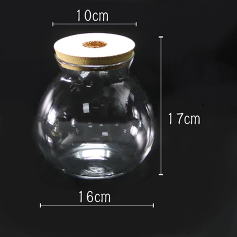 Botella ecológica de vidrio transparente con tapa para pecera, accesorios de acuario para paisajismo, Mini botella con pez: Size-5