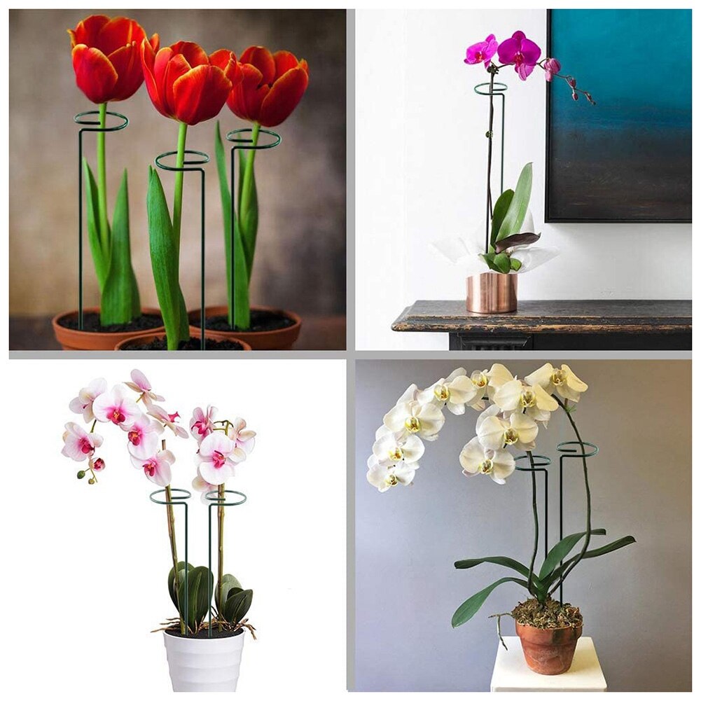 5 Pack Plant Support Stakes Garden Single Stem Support Stake Amaryllis Plant Cage Support Rings for Tomatoes Rose Flower Stem