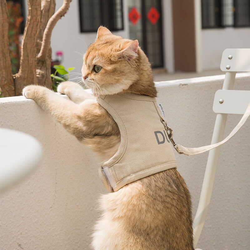 Zomer Kat Harness En Leash Set Ademend Mesh Hondenlijn Pet Vest Kleding Harnas Voor Kleine Honden Kat Leiband hond Harnas