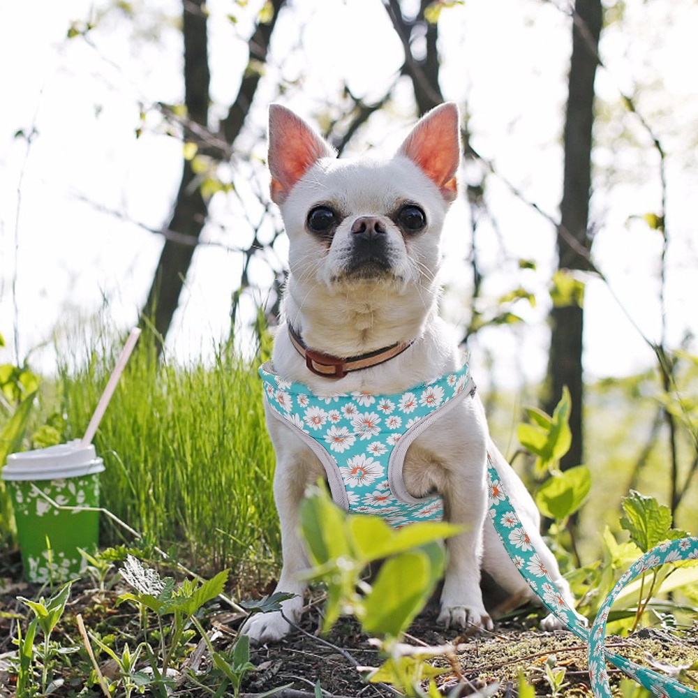 Reflecterende Kleine Hond Harnas Vest En Leash Set Nylon Mesh Honden Kat Harnas Leiband Voor Chihuahua Puppy Pet Product Verstelbare