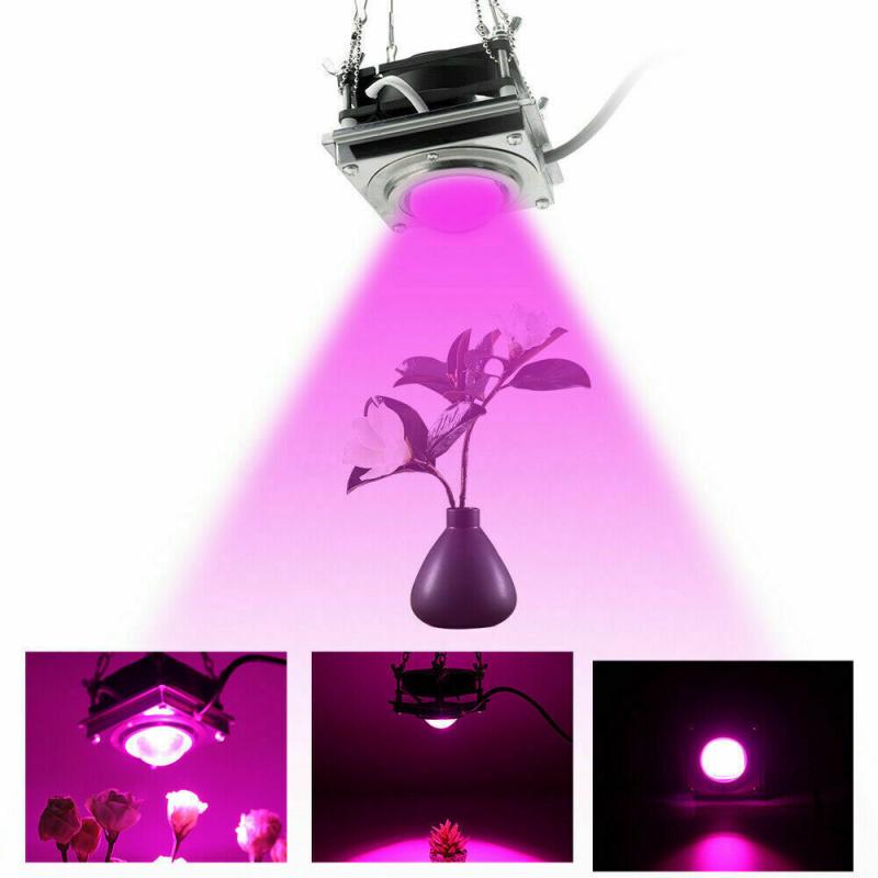 Hydroponic Veg Plant Full Spectrum COB Plant Growth Light 50W LED Greenhouse Vegetables Succulent Fill Light