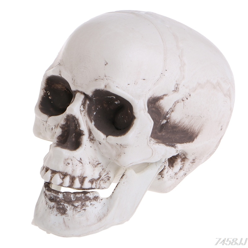 Skalle dekor rekvisit skelett huvud plast halloween dag kaffe barer prydnad
