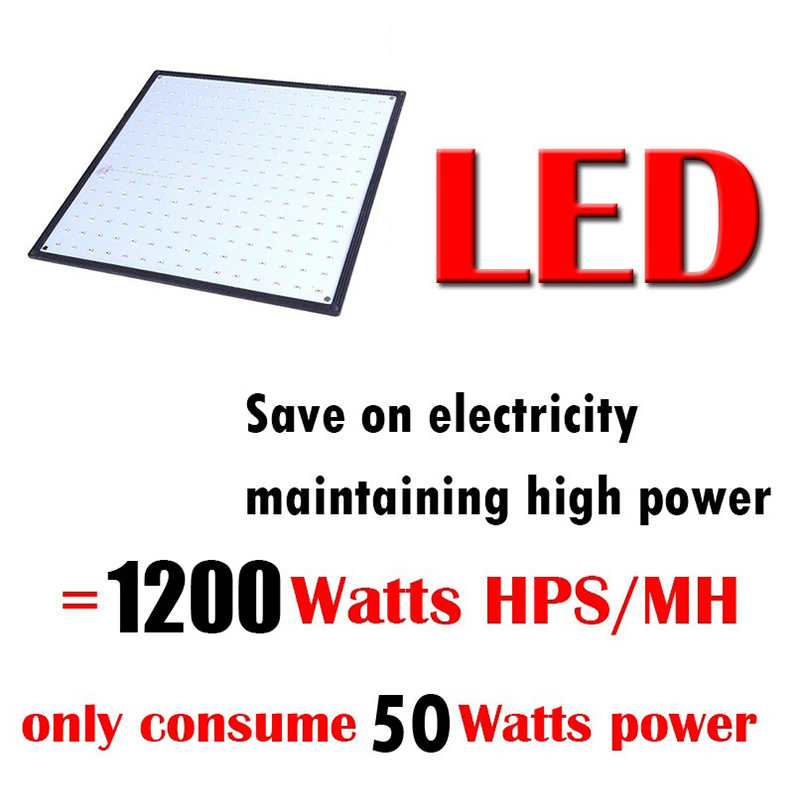 1000W Growth Lamp For Plants Led Grow Light Full Spectrum Phyto Lamp Fitolampy Indoor Herbs Light For Greenhouse Led Grow Tent