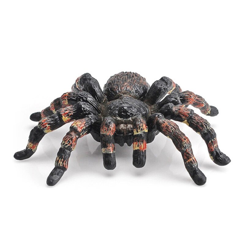 40JC Interest Children&#39;s Realistic Insect Kids Science Supplies Kids Party Halloween Relieve Stress Kids Birthday: T15351