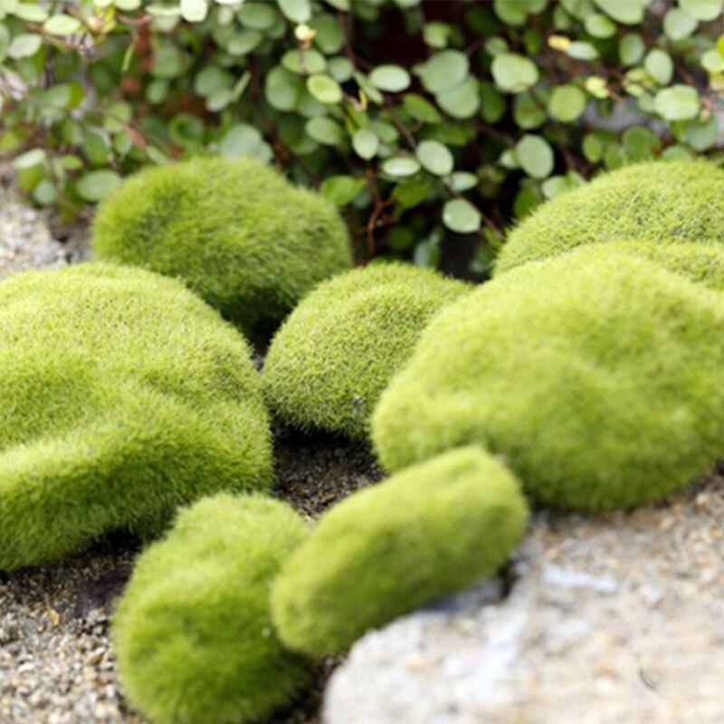 Nep Gras Moss Nep Rock Massaal Steen Nep Gazon Micro Landschap Succulent Diy Home Deco Tuin Decoratie Nep Planten