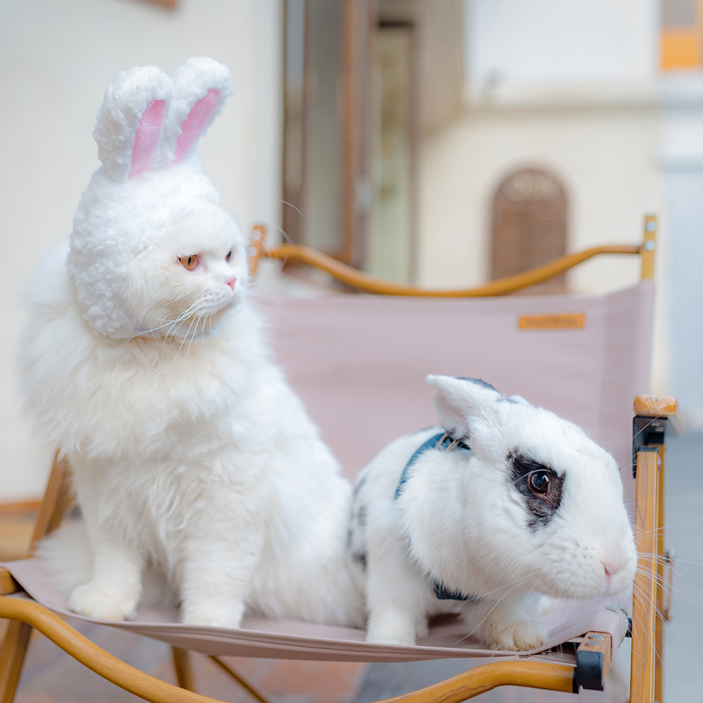 niedlich Kostüm Hase Hase Hut mit Ohren Katzen&Ampere;klein Hund Party Kostüm Ostern Zubehörteil Headwear Party Kleid,fotografisch Requisiten