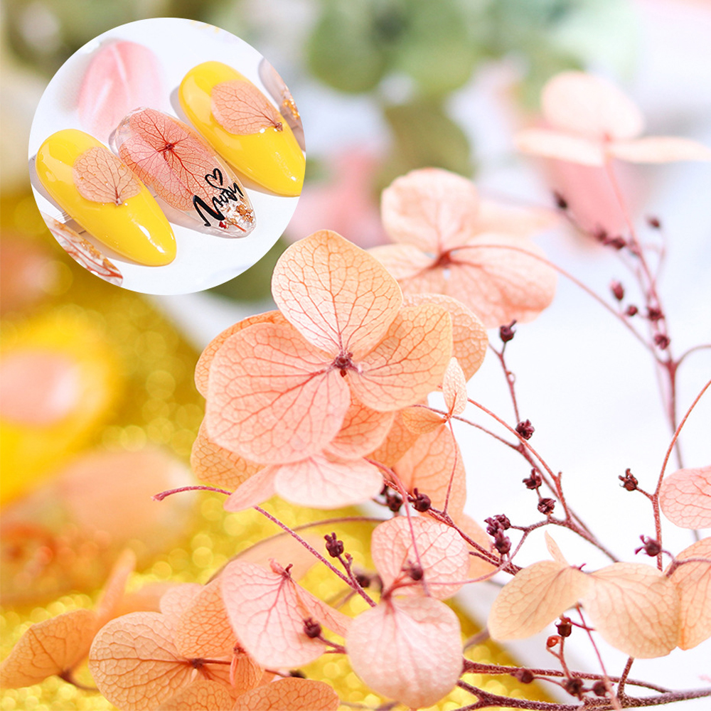 Décalcomanies de fleurs séchées 3D pour Nail Art, autocollants floraux naturels, conceptions de fleurs sèches pour N64.Crafts, accessoires de manucure bricolage