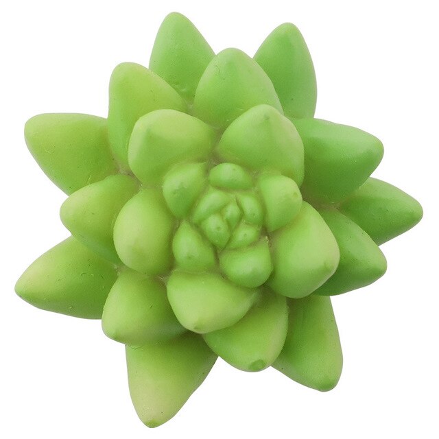 Plant Stereoscopische 3D Leuke Magneten Sticker Sterke Magneten Fix Papier: sedum sediforme