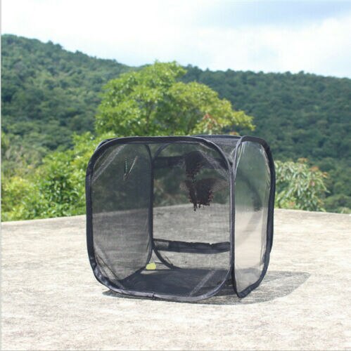 1 Pièces Mante religieuse Bâton Vert Portable Pliable D'insecte Caméléon Cage Boîtier Insectes Fournitures Boîtes à Mailles: Black / 40x40x60 cm