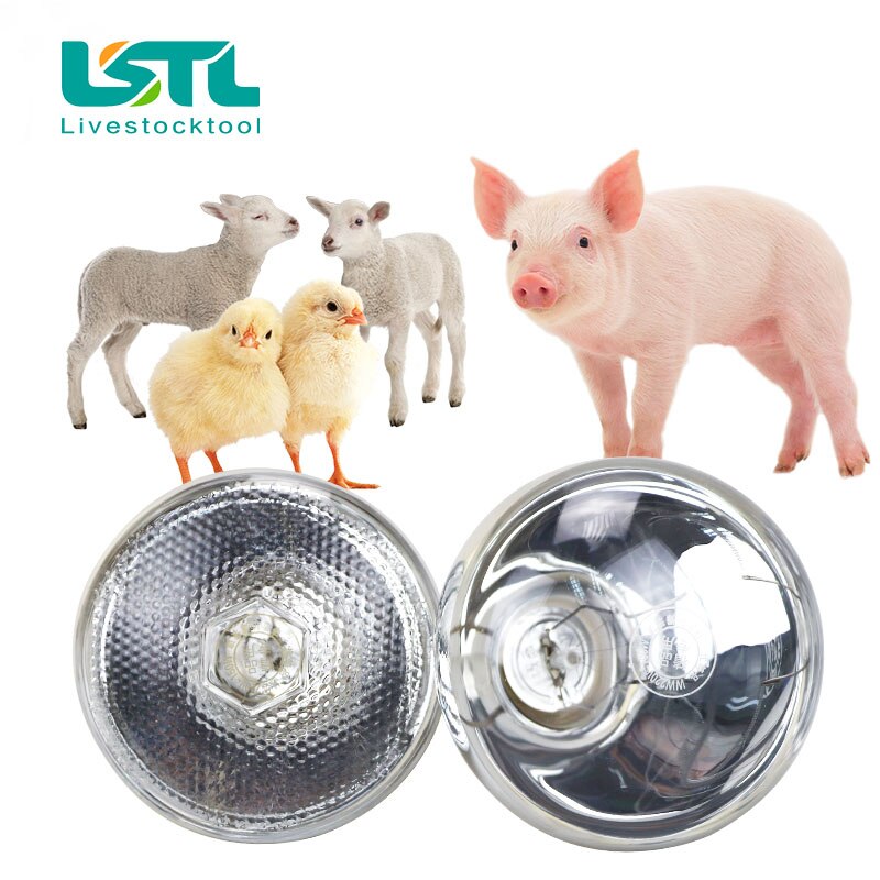 220 V Viehtiere Haustier-Heizlampe, thermische Erhaltung, Wärme-Infrarotstrahl für Reptilien, Amphibien, Haustier, 100/150/200/275 W