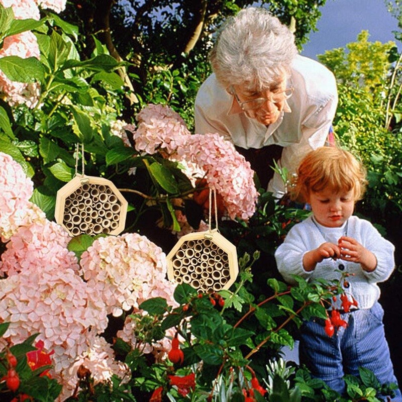 2- pack natuurlijke bamboe bijenkorf insectenhotels metselwerk bijenhuisbuizen voor het aantrekken van vreedzame bijenbestuivers voor de tuin