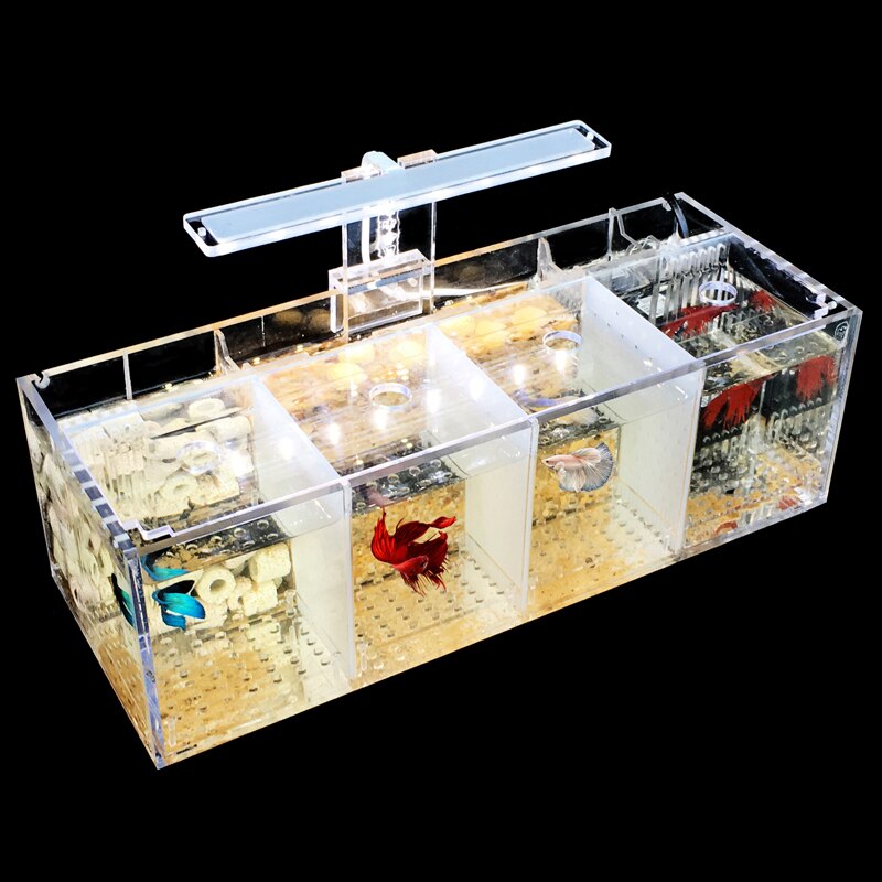 Small Fish Fry Breeding Isolation Box Acrylic Desktop Fish Tank Aquarium With LED Light