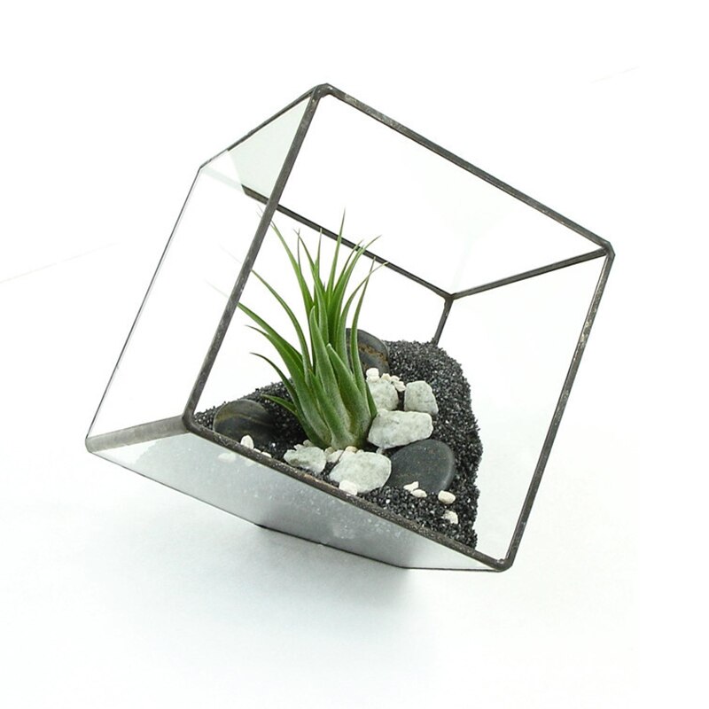Irregular Glass Geometric Terrarium Tabletop Box Flower Planter Large 10*10cm