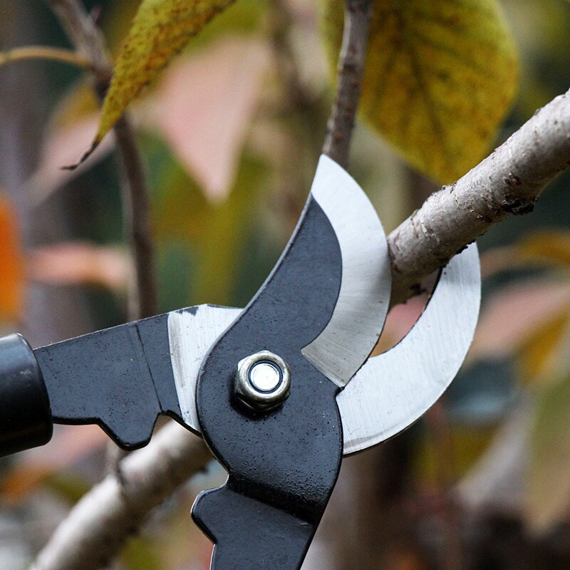 Anti handtag beskärning klippa sax trädgård bonsai verktyg ioppers trädgård häck träd sax skärare trädgårdsarbete redskap bonsai sax
