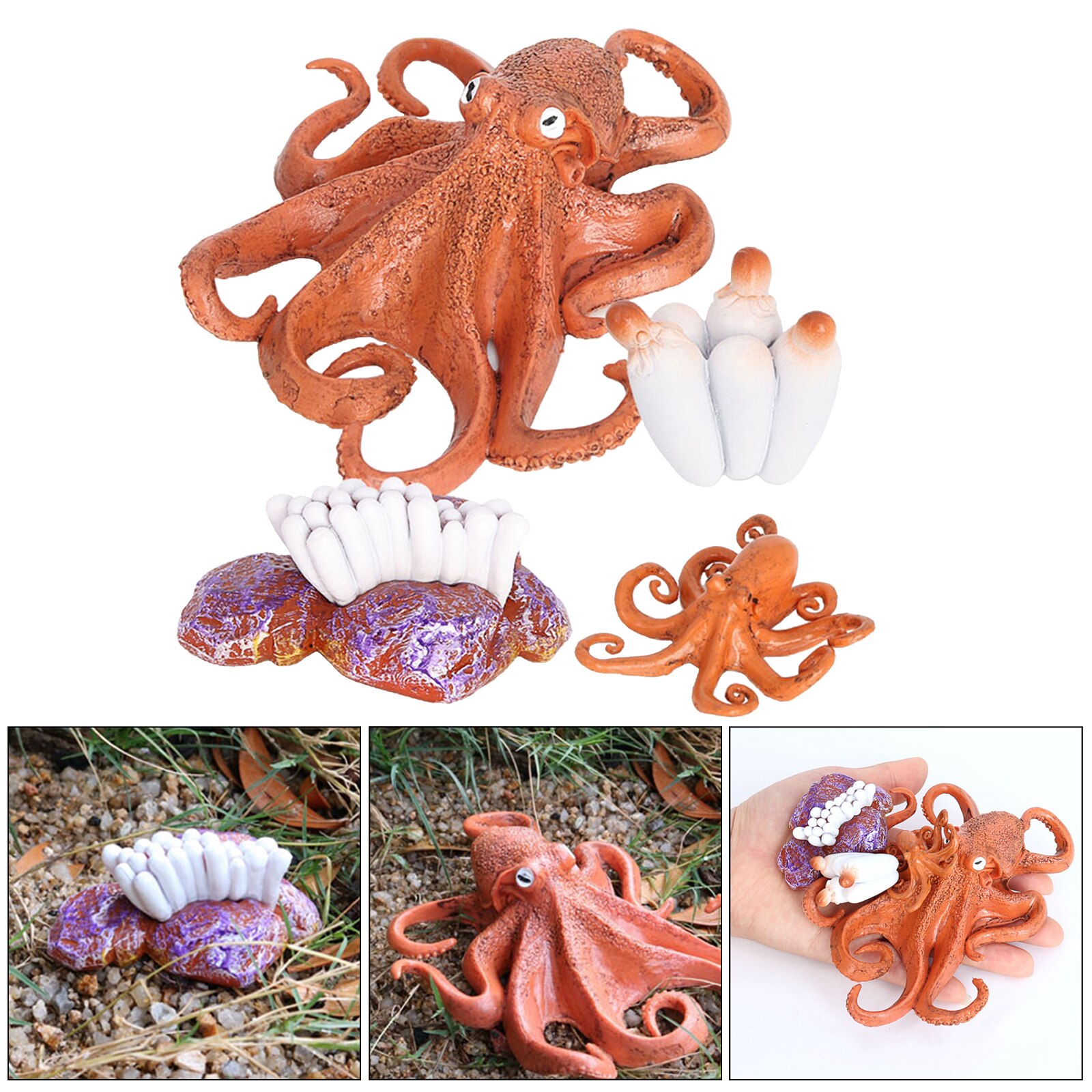 4 Stadia Levenscyclus Van Een Octopus, Insecten Plastic Octopus Speelgoed Figuur-Authentieke Hand Painted Model