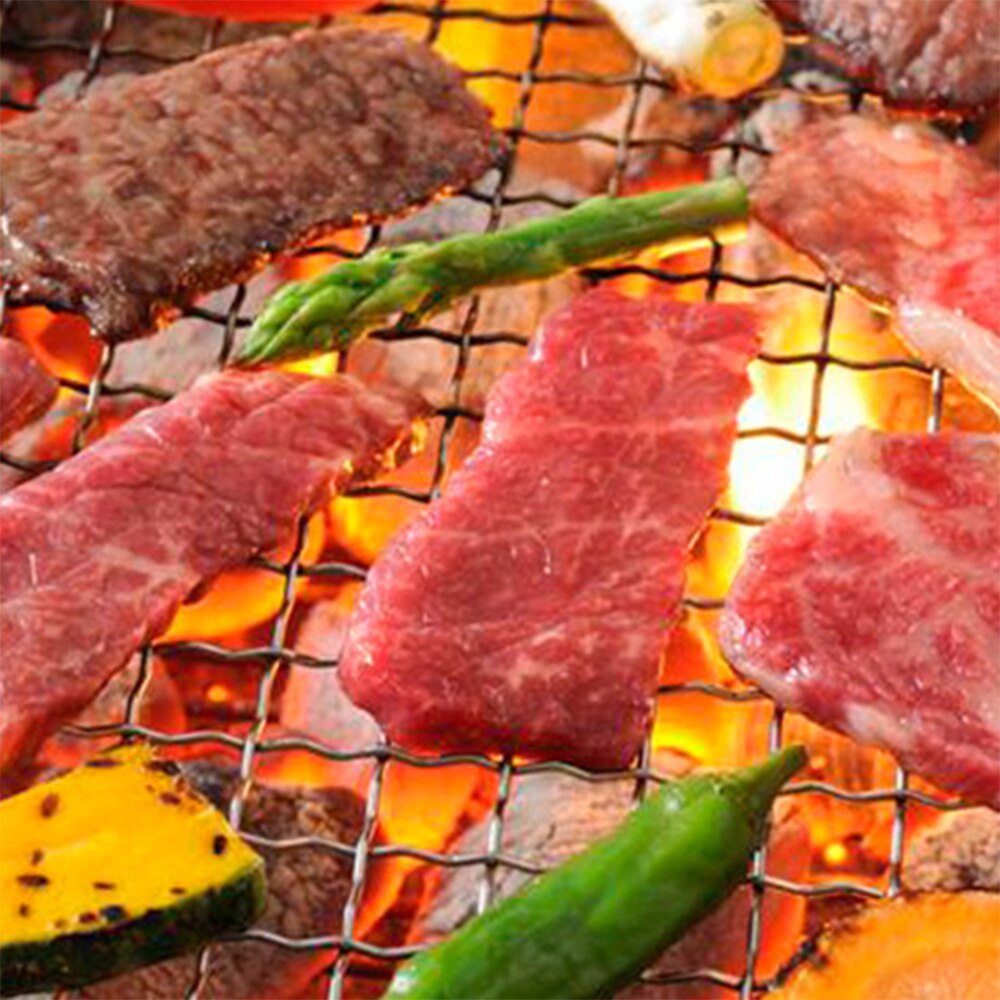 Useful Small BBQ Grill Folding Portable Charcoal Outdoor Camping Picnic Burner Folable Charcoal Camping Barbecue Oven 1.9kgE