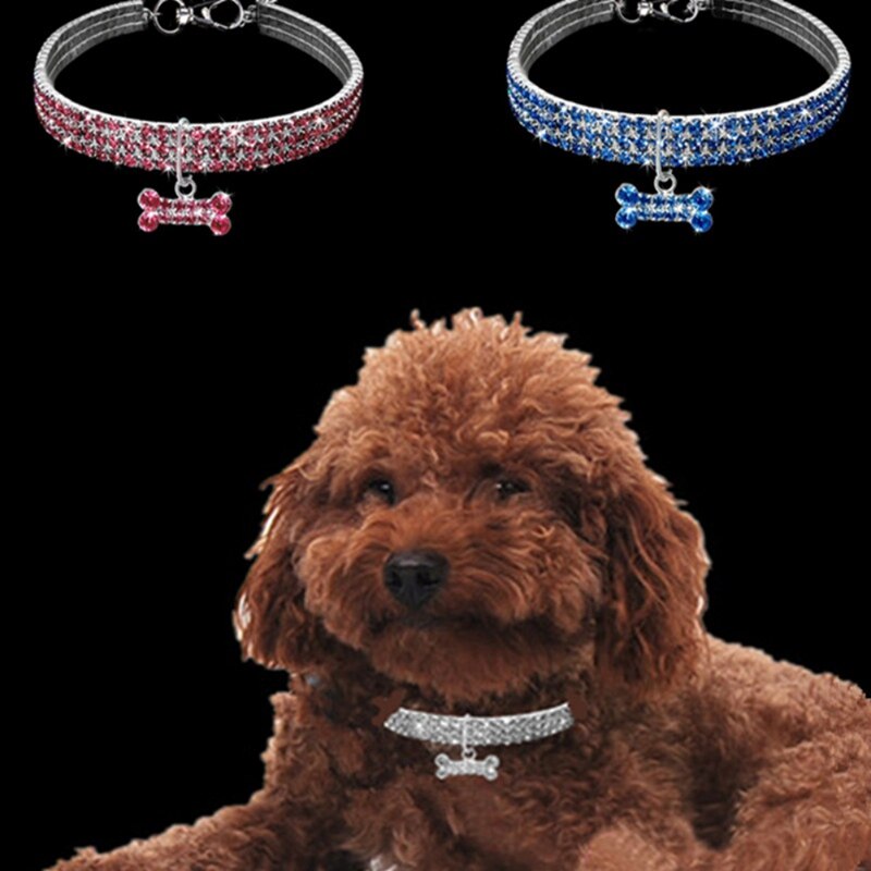 Bling Strass Halsband Legering Diamant Puppy Pet Kat Kraag Maat S/M/L Halsbanden Lijnen Kleine honden Mascotas Accessoires