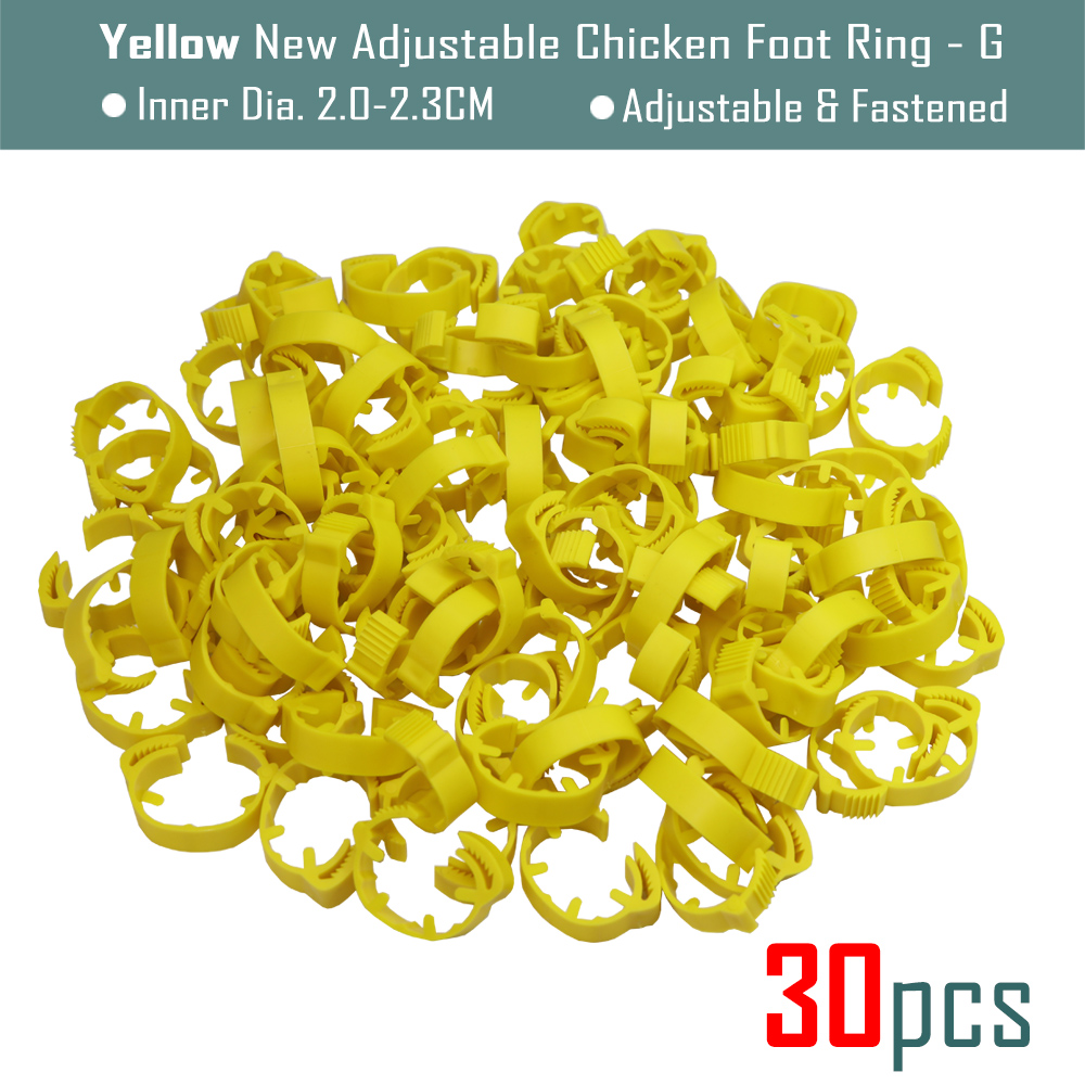 30Pcs Blank Kip Voet Ring 7 Kleuren Verstelbare Digitale Etiketten Voor Pluimvee Been Farm Identificatie Markers Tool Voor Chick eend: G-Yellowx30pcs