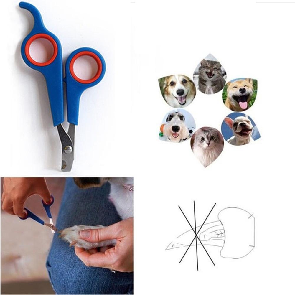 Coupe-ongles pour animaux de compagnie, outil de toilettage, griffes de lapin, ciseaux à ongles, patte d&#39;animal, perroquet gerbid bird pour chien, cisaille à ongles de chat