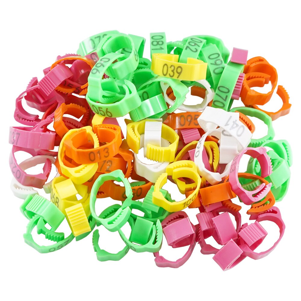 30PCS Numbered Poultry Chicken Leg Band Clip-on Adjustable Buckle Ring For Animal Duck Pigeon Goose Digital Label 6 Colors: Mixed (30pcs) / Random Numbers