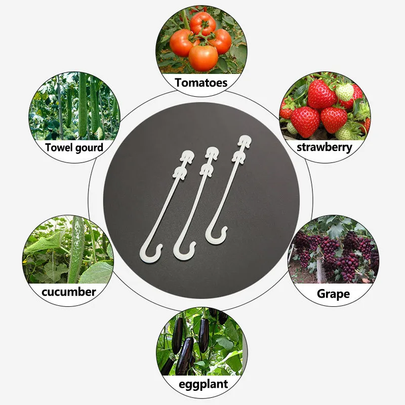 50/100 Stück Tomaten-Stützhaken, 9,5/13/16 cm, Pflanzen-Stütz-Gemüse-Clips, um Tomaten- und Obstcluster vor Kneifen zu verhindern