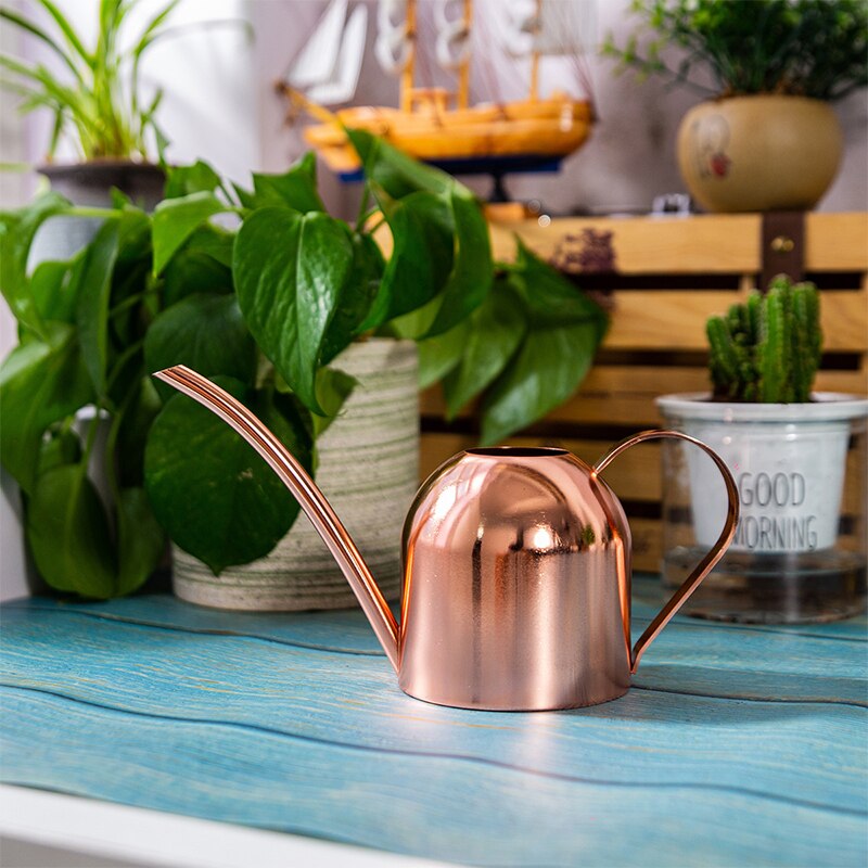 Regadera de boca larga de acero inoxidable de 500ML, regadera de plantas verdes, regadera pequeña dorada, herramientas de jardinería, Control de agua