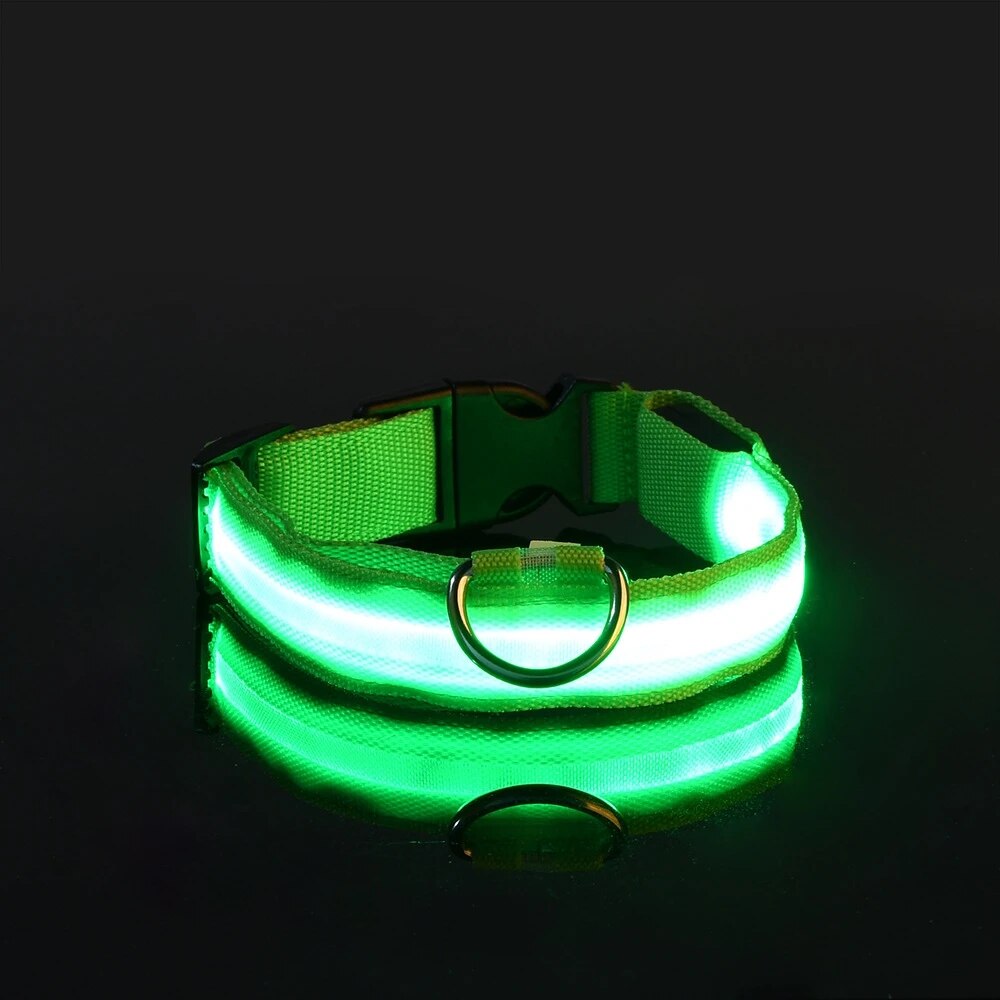 Nylon LED Nacht Sicherheit blinkende glühen in das dunkel Hundeleine Hunde leuchtende fluoreszierende Haustier Hundehalsband: XXS / Grün