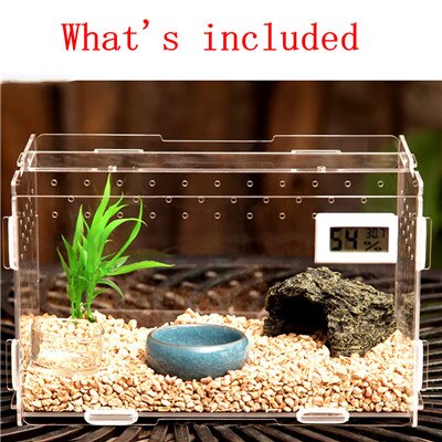Krybdyr edderkop regnskov skorpion bille leopard gecko insekt eremitkrabbe firben akryl opdræt foderboks kit magnet lås: Default Title