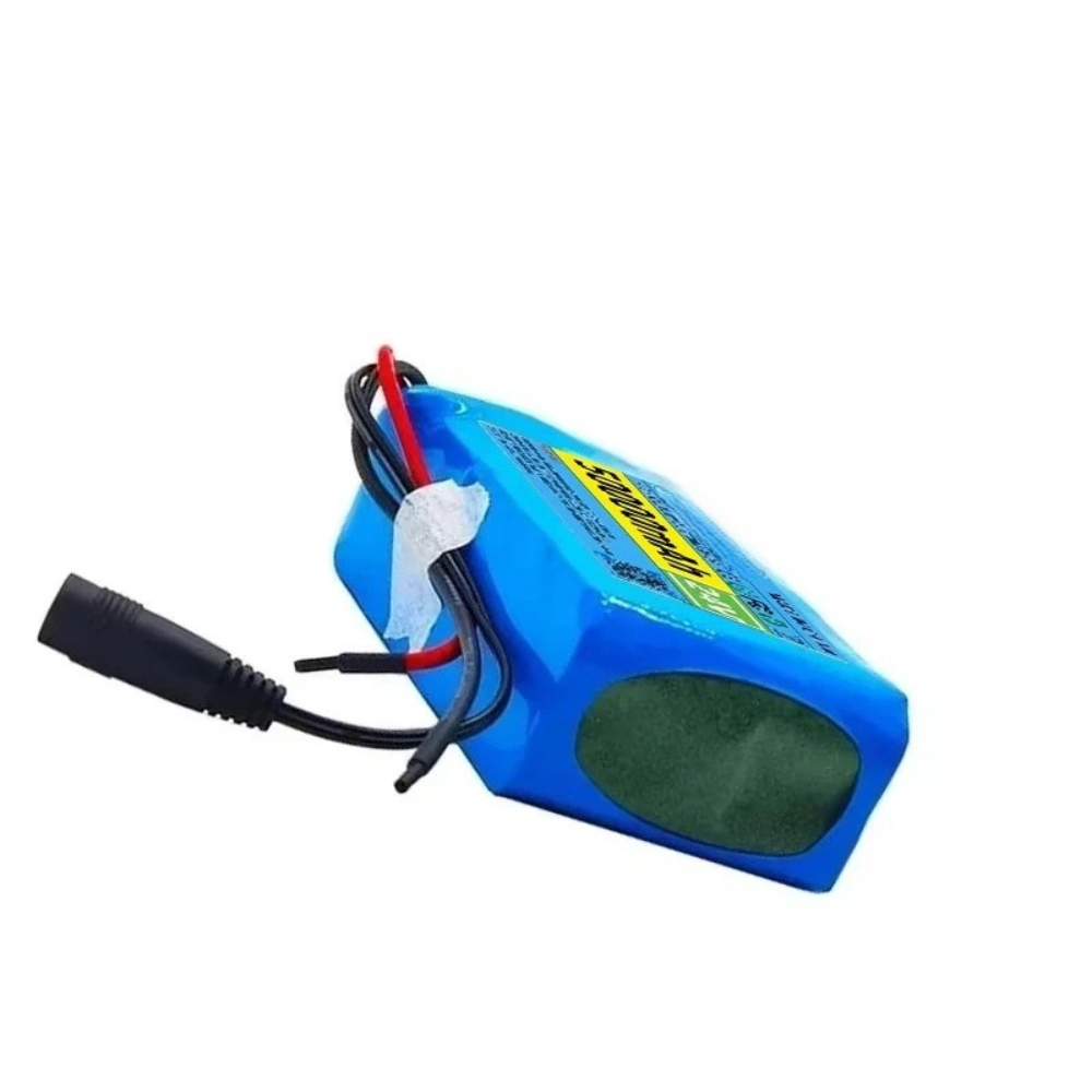 Batterie rechargeable au lithium 24V 50000mAh 6s2p 18650 avec panneau de protection BMS batterie lithium-ion avec chargeur