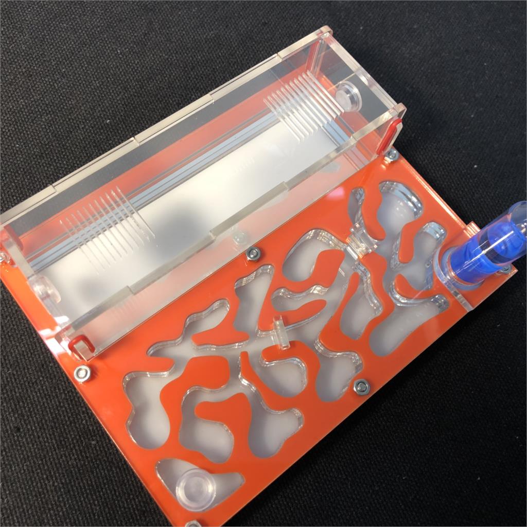 150mmx110mm test tube Moisture big space Ant Nest ,Ant Farm Acrylic, Insect ants Villa House Ants Ecological Workshop: orange
