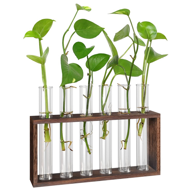 Glas Plant Voortplanting Station Plant Voortplanting Buizen Desktop Plant Terrarium Met Houten Stand Mini Reageerbuis Home Decor(6 buizen
