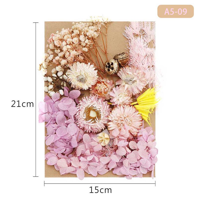 Fleur pressée mélangé fleurs séchées matériel pour bricolage aromathérapie bougies carte de voeux époxy artisanat boucles d'oreilles FAS6: Gris clair