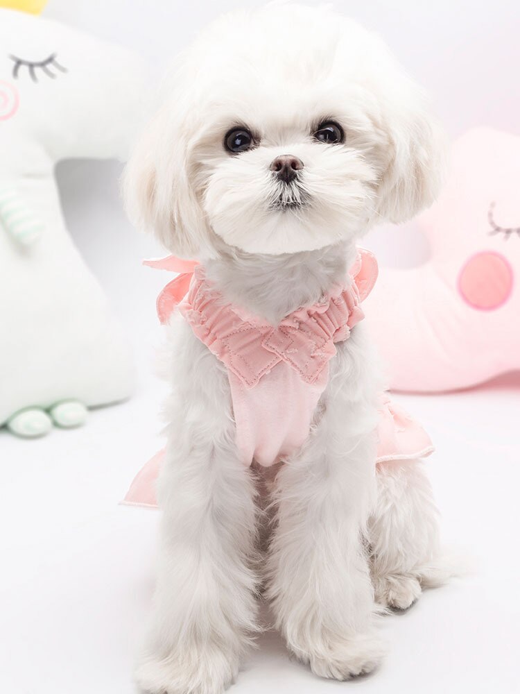 Boog Decor Hond Jurk Huisdier Kleding Blauw Roze Geel Kleuren S-Xxl Maten Cool Hond Jurk Voor Lente En zomer Schattige Prinses Huisdier Jurk