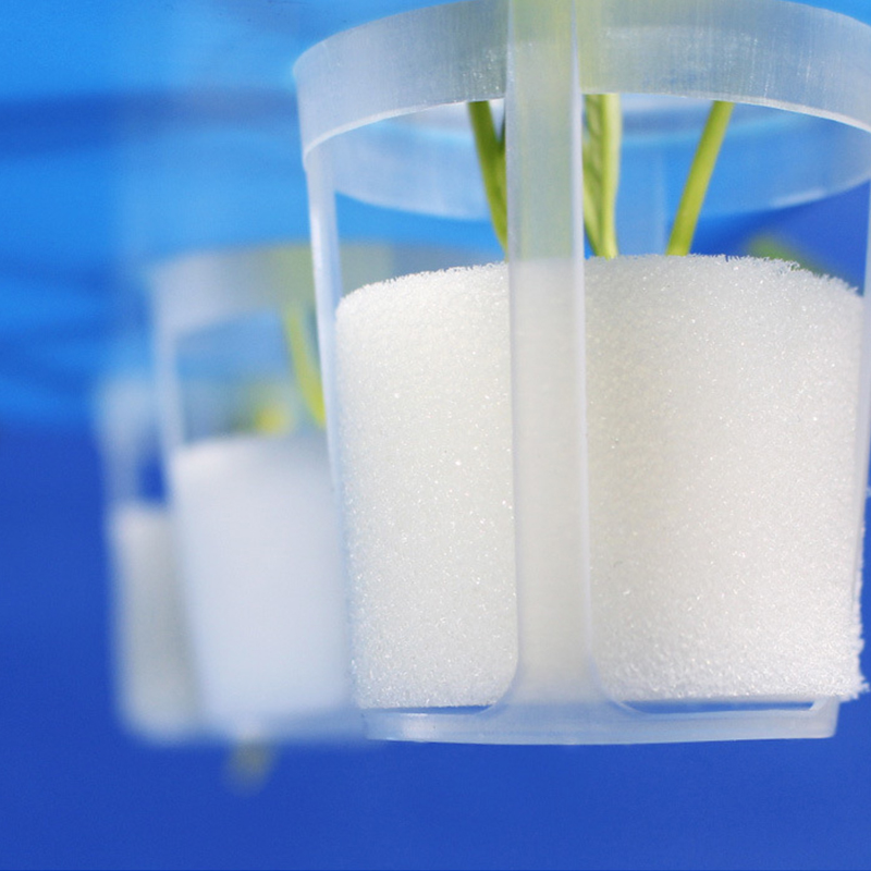 50 stks/partij Hydrocultuur Mand Tuin Groente Grondloze Grow Net Pot Kasplant Kloon Grow Potten Netto Kwekerij Cup