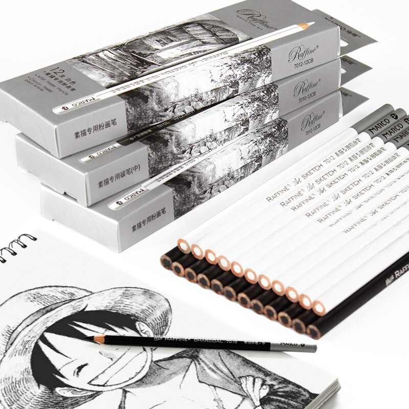 12pcs Sketching Charcoal Pencil White Highlight Charcoal Pencils Dibujo Art Sketching Drawing Pencils Art Supplies Lapices