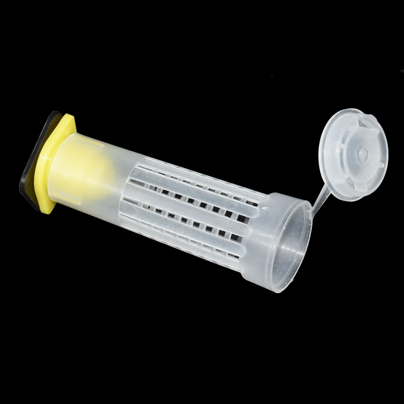Insect Rearing Cups Beekeping Tool Rearing Cup Kit Queen Bee Hair Roll... – Grandado