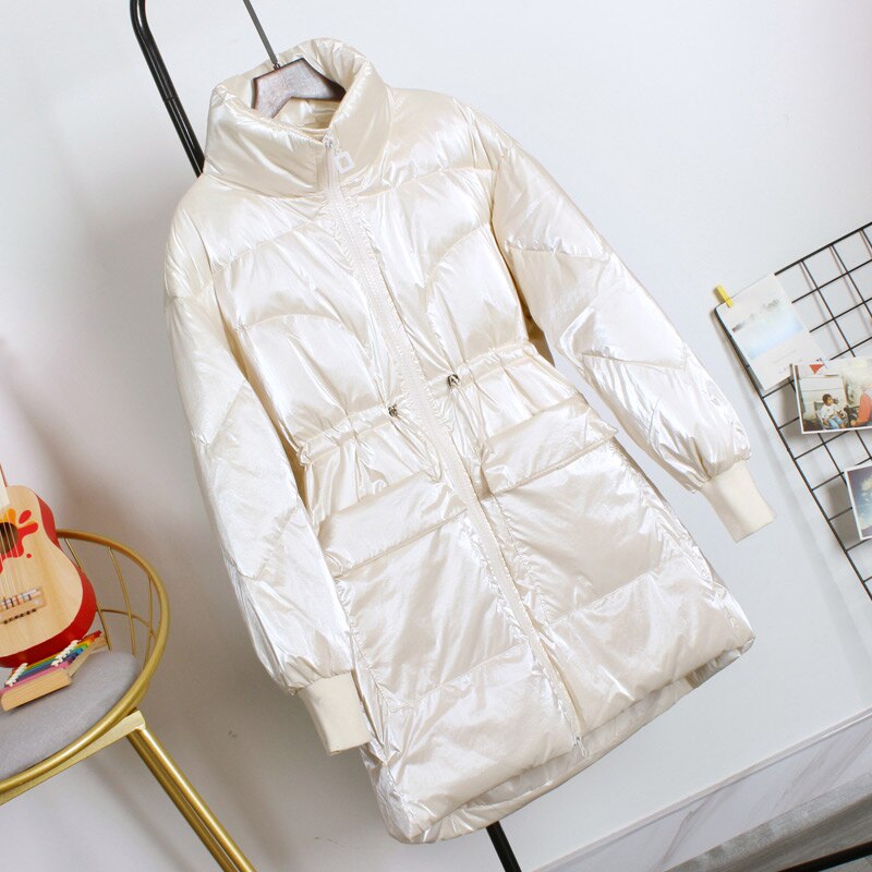 Winter dames lange witte eendendonsjas met opstaande kraag, damesmodel, warme, waterdichte en winddichte jas, grote maten