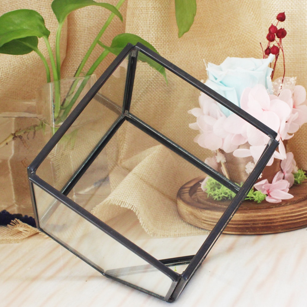 Cubos geométricos Terrario de vidrio decoración del hogar planta flor carnosa soporte maceta